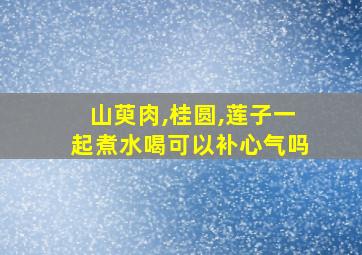 山萸肉,桂圆,莲子一起煮水喝可以补心气吗