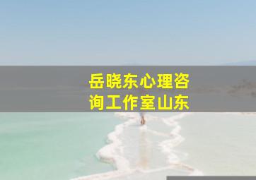 岳晓东心理咨询工作室山东