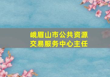 峨眉山市公共资源交易服务中心主任