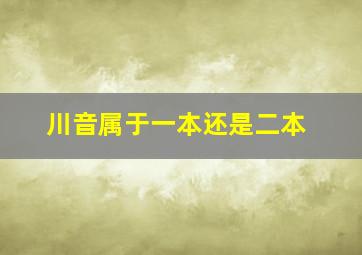 川音属于一本还是二本