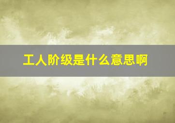 工人阶级是什么意思啊