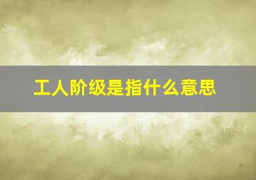 工人阶级是指什么意思