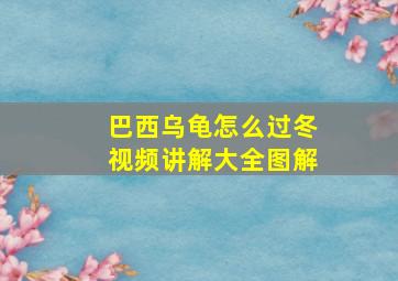 巴西乌龟怎么过冬视频讲解大全图解