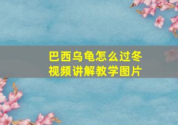 巴西乌龟怎么过冬视频讲解教学图片