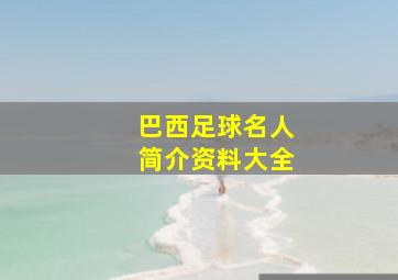 巴西足球名人简介资料大全