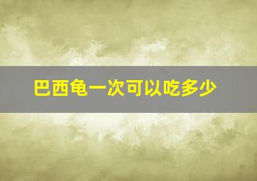 巴西龟一次可以吃多少