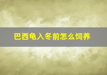 巴西龟入冬前怎么饲养