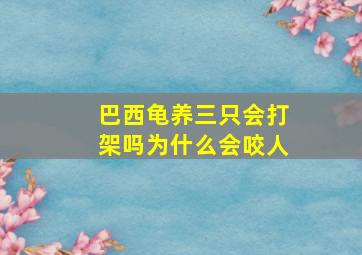 巴西龟养三只会打架吗为什么会咬人