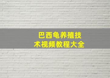 巴西龟养殖技术视频教程大全