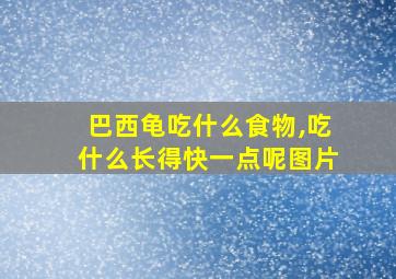 巴西龟吃什么食物,吃什么长得快一点呢图片