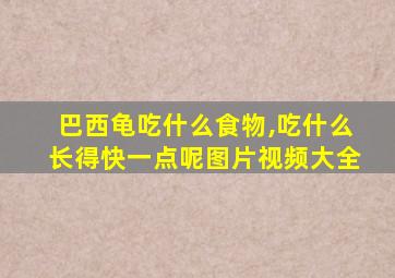 巴西龟吃什么食物,吃什么长得快一点呢图片视频大全