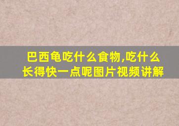 巴西龟吃什么食物,吃什么长得快一点呢图片视频讲解