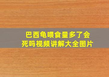 巴西龟喂食量多了会死吗视频讲解大全图片