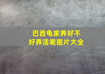 巴西龟家养好不好养活呢图片大全