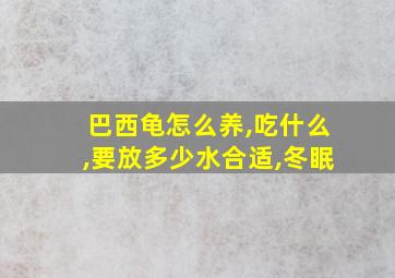 巴西龟怎么养,吃什么,要放多少水合适,冬眠