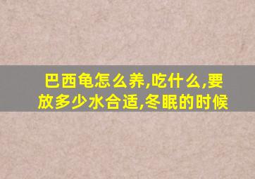 巴西龟怎么养,吃什么,要放多少水合适,冬眠的时候