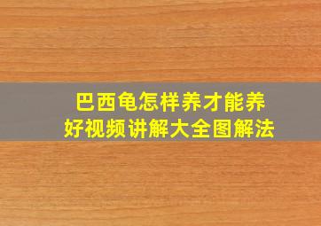 巴西龟怎样养才能养好视频讲解大全图解法