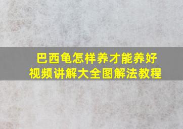 巴西龟怎样养才能养好视频讲解大全图解法教程