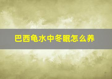 巴西龟水中冬眠怎么养