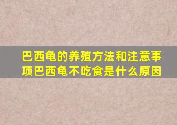 巴西龟的养殖方法和注意事项巴西龟不吃食是什么原因