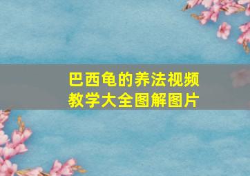 巴西龟的养法视频教学大全图解图片