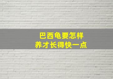 巴西龟要怎样养才长得快一点