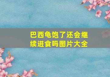 巴西龟饱了还会继续进食吗图片大全