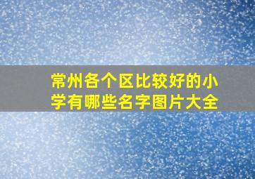 常州各个区比较好的小学有哪些名字图片大全