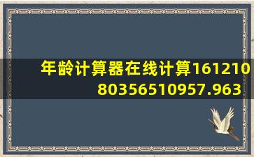 年龄计算器在线计算16121080356510957.9635.95533499