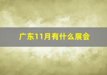 广东11月有什么展会