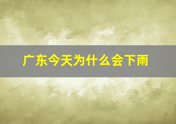 广东今天为什么会下雨