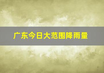 广东今日大范围降雨量