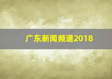 广东新闻频道2018