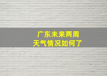 广东未来两周天气情况如何了