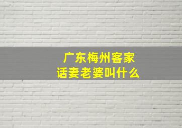 广东梅州客家话妻老婆叫什么