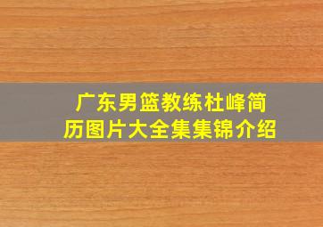 广东男篮教练杜峰简历图片大全集集锦介绍