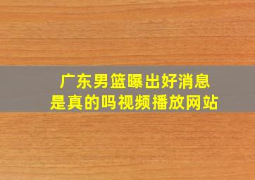 广东男篮曝出好消息是真的吗视频播放网站