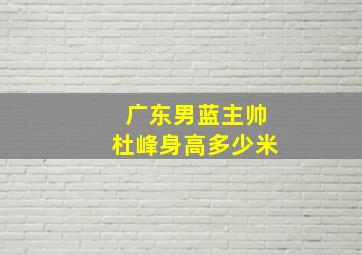 广东男蓝主帅杜峰身高多少米