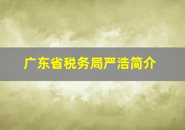 广东省税务局严浩简介