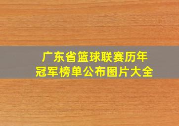 广东省篮球联赛历年冠军榜单公布图片大全