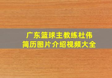 广东篮球主教练杜伟简历图片介绍视频大全