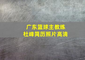 广东篮球主教练杜峰简历照片高清