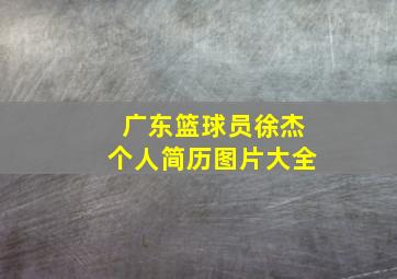 广东篮球员徐杰个人简历图片大全