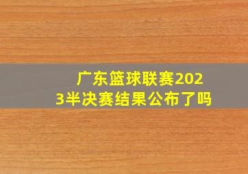 广东篮球联赛2023半决赛结果公布了吗