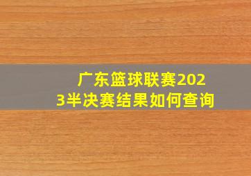 广东篮球联赛2023半决赛结果如何查询