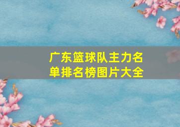 广东篮球队主力名单排名榜图片大全