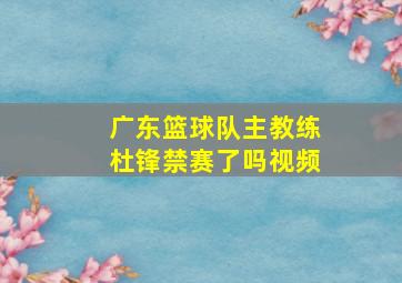 广东篮球队主教练杜锋禁赛了吗视频