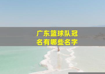 广东篮球队冠名有哪些名字