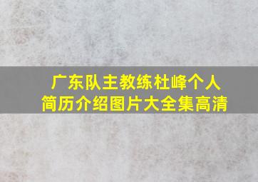 广东队主教练杜峰个人简历介绍图片大全集高清