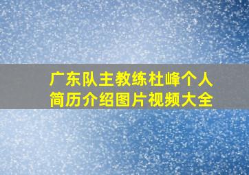 广东队主教练杜峰个人简历介绍图片视频大全